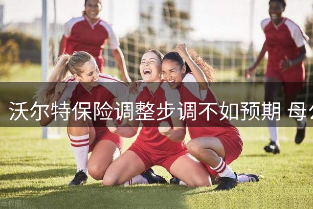 沃尔特保险调整步调不如预期 母公司拟承接65亿美元信贷资产